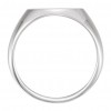 14 kt White Gold Men's Oval Signet Ring