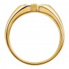 14 kt Yellow Gold Men's Horseshoe Ring